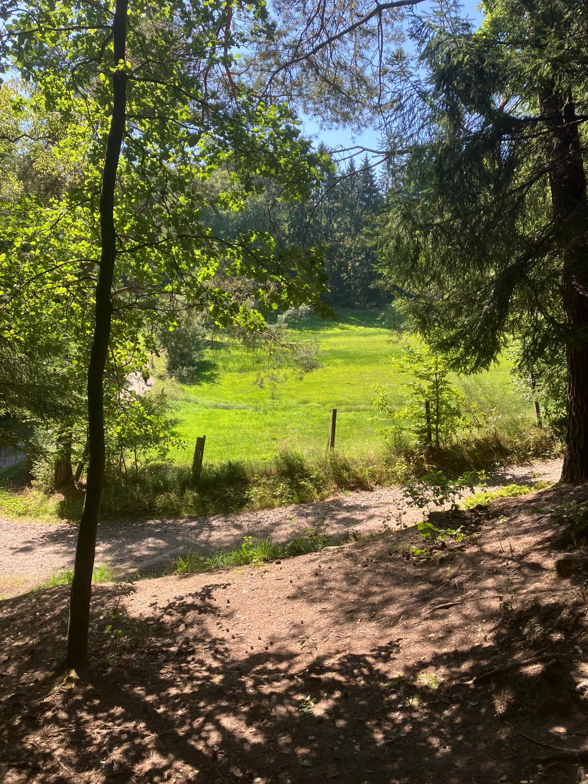Lauftreff, Wandern in Grasellenbach